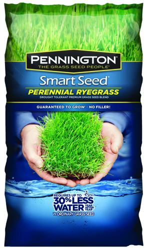 Pennington 100526658 Perennial Ryegrass Seed, 3 lb Bag