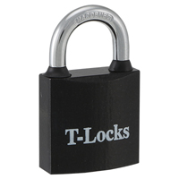 IRON PADLOCK 30MM