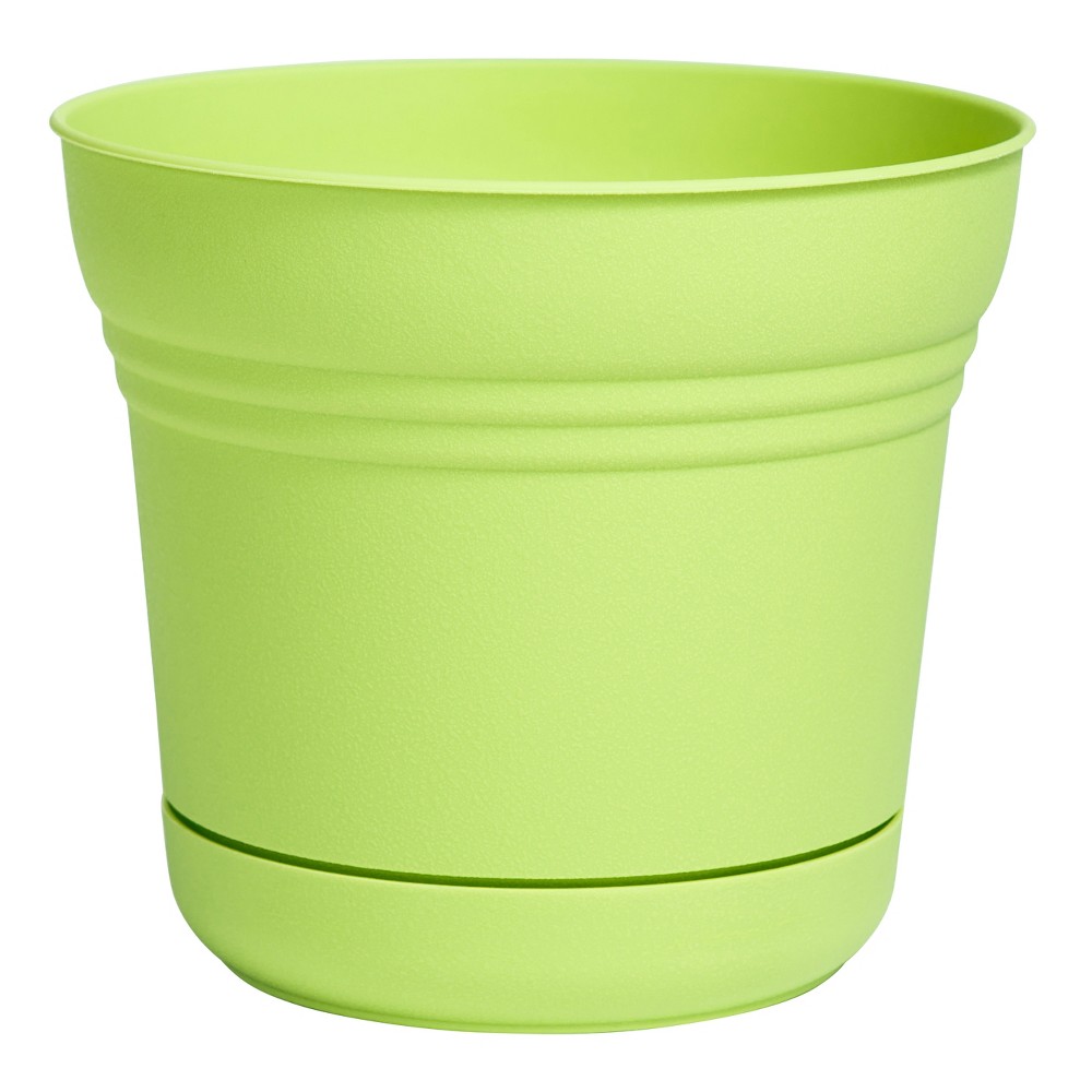 BLOEM PLANTER 7" SATURN HON/DEW