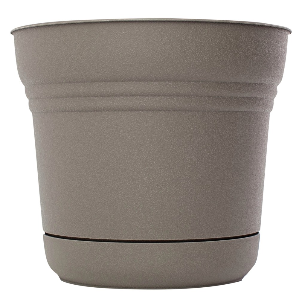 BLOEM 10"SATURN PLANTER PEPPERCO