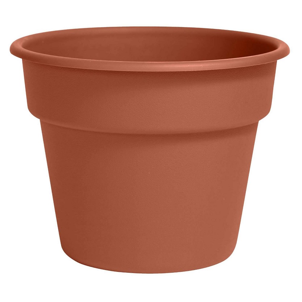 BLOEM 8"DURA COTTA PLANTER TERRA