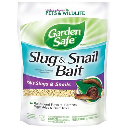 SLUG & SNAIL BAIT