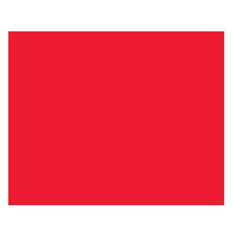 BAZIC POSTER BOARD RED 22""X28""