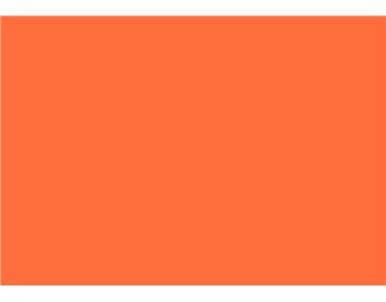 BAZIC FOAM BRD FL/ORANGE 20"X30"