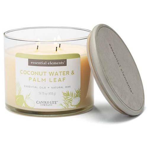 Candle-lite Natural Scented Candle Jar 14.75 oz 418 g - Coconut Water & Palm