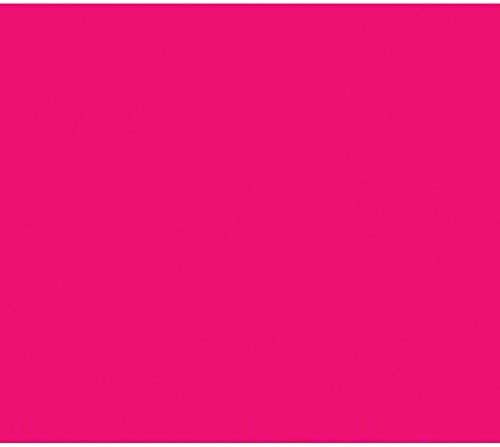BAZIC POSTER BRD F/FUSCHIA 22X28