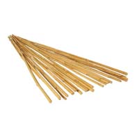 STAKES BAMBOO NATURAL 6/BG 5FT