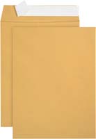 ASCEND ENVELOPE KRAFT STIX 100PC