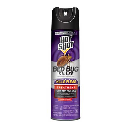 BED BUG/FLEA KILLER 17.5OZ