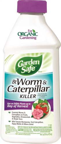 KILLER WORM/CTERPLR CONC 16OZ