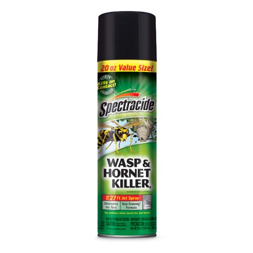 SPRAY WASP/HORNET 20OZ