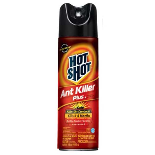 AEROSOL ANT KILLER SPRAY 16OZ