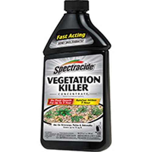 KILLER VEG CONC 32OZ