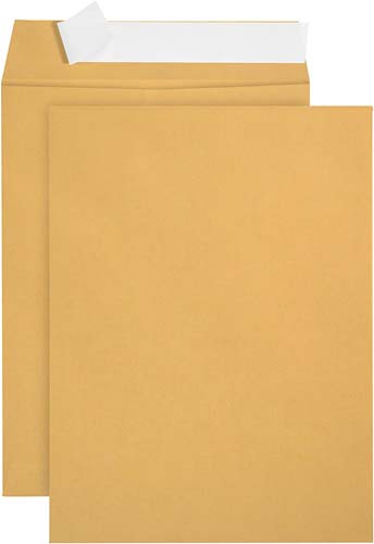 ASCEND ENVELOPE KRAFT STIX 100PC