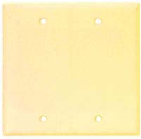 CW WALLPLATE BLANK 2G IV #2137V