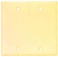 CW WALLPLATE BLANK 2G IV #2137V