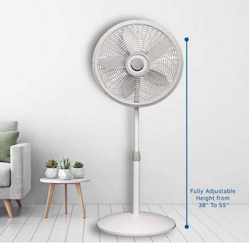 LASKO 18 OSCILLAT/PEDESTAL FAN