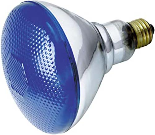 BULB FLOOD 100W BLUE OUTDOOR #S4