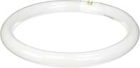 FLOURESENT BULB CIRLINE DAYLIGHT