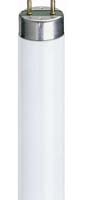 LAMP TUBE FLUORSCENT 5FT T8