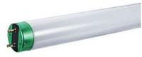 LAMP TUBE T8 17W 2FT FL/DAYLIGHT