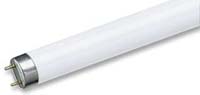 LAMP TUBE 4FT T8 FLUOR DAYLGHT