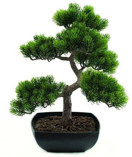 BONSAI TREE ARTIFICIAL 4ASST