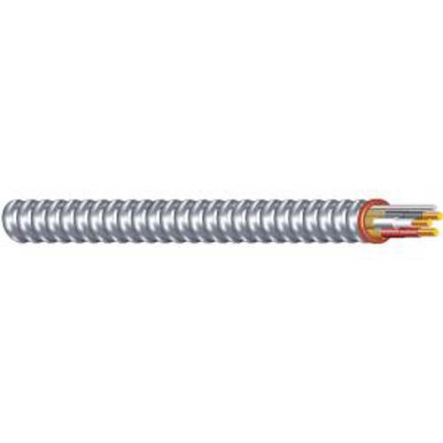 CABLE ARMORED METAL 12/2 50FT