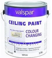 COLOR CHG LTX GAL CEILING WHITE