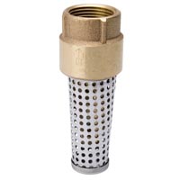 Foot Valve with Strainer, 1-1/2 in FIP, Brass