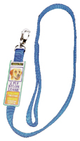 Aspenpet 21088 Pet Leash, 6 ft L, Blue