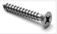 METAL SCREW SS PHIL OH 14X2