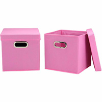 COLLAPSIBLE STORAGE CUBE 2PC PIN