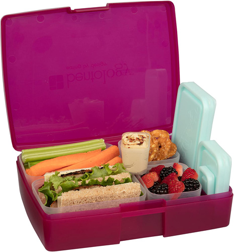 BENTO LUNCH KIT RASPBERRY