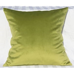 AL SOLID VELVET CUSHION COVER 18