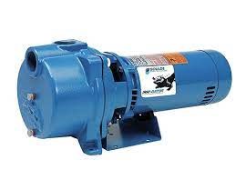 Goulds 3 HP 1 Phase 230V centrifugal Self-Priming Pump