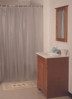 SHOWER CURTAIN VNYL FRST 70X72