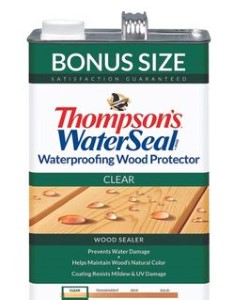 WATERSEAL PROTECTOR WOOD CLR GAL