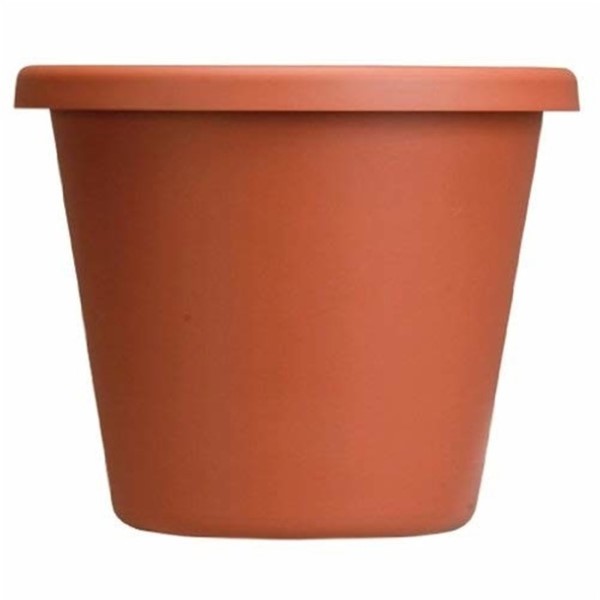 CLASSIC POT CLAY 6" PLASTIC