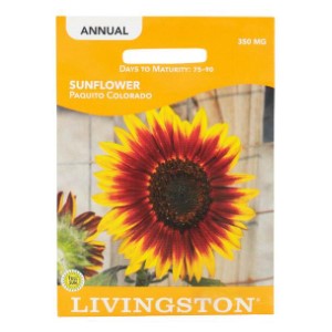 Livingston Seed Sunflower Paquito Colorado Seeds Packet