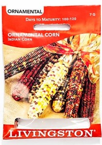 LV ORNAMENTAL CORN INDIAN CORN