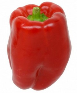 Keystone Giant Sweet Pepper