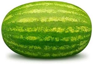 Congo Watermelon