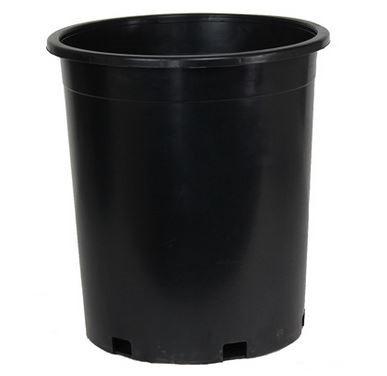 NURSERY PLANTER BLK #5 3.76GAL