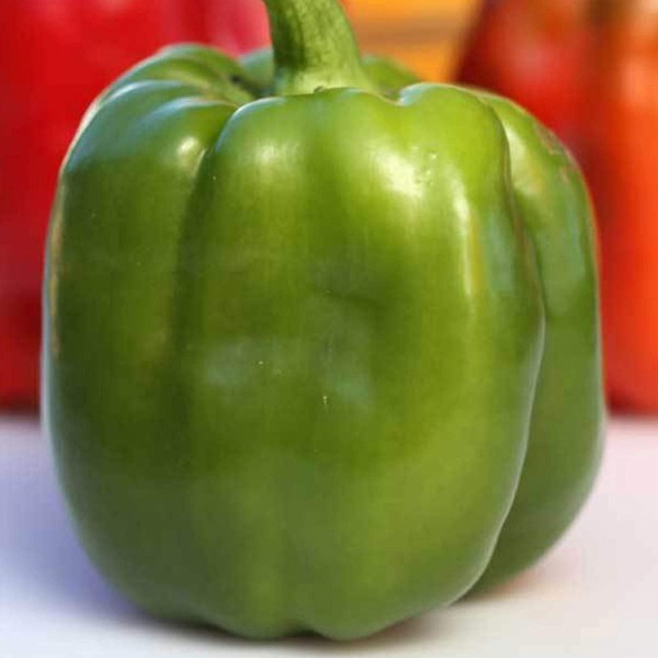 Emerald Giant Pepper Seeds