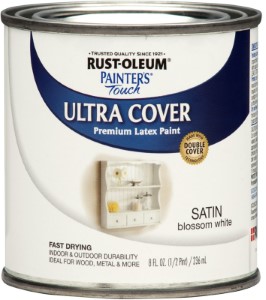 Painter's Touch Ultra Cover Multi-Purpose Brush-On Latex Paint |