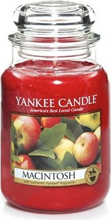 CANDLE MACINTOSH ORG 22Z