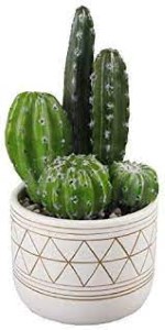 FAUX CACTUS GARDEN 9"