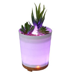 Plant Diffuser # 2