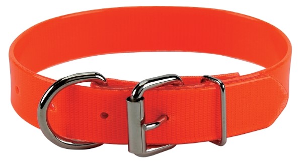 COLLAR HUNTING ORANGE 1X19